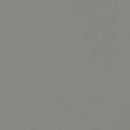Chelsea Gray Paint (FP 22638)