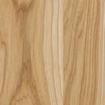 Natural Effect on Hickory